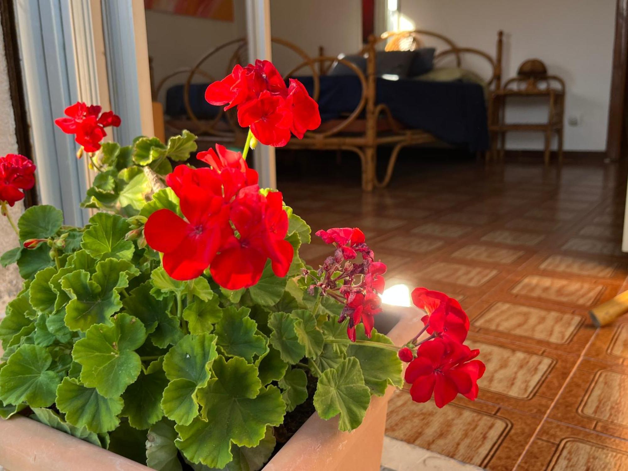 몬델로 A Casa Di Mara 아파트 외부 사진